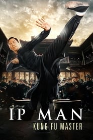 Ip Man Kung Fu Master' Poster