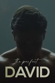 Streaming sources forThe Perfect David