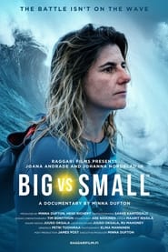 Big vs Small' Poster