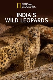 Indias Wild Leopards' Poster