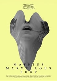 Mathius Marvellous Shop' Poster
