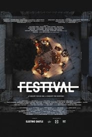 No Festival' Poster