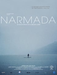 Narmada' Poster