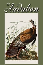 Audubon' Poster