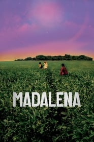 Madalena' Poster