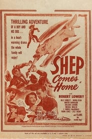 Shep Comes Home' Poster