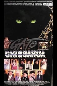 El gato de Chihuahua' Poster