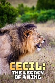 Cecil The Legacy of a King' Poster