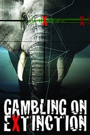 Gambling on Extinction' Poster