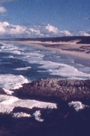 Ocean at Point Lookout' Poster