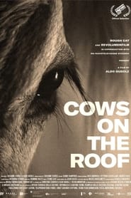 Cows on the Roof' Poster