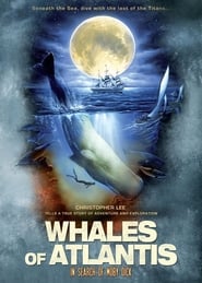 Whales of Atlantis In Search of Moby Dick' Poster