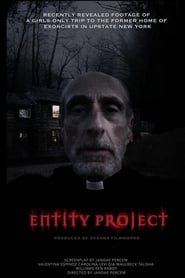 Entity Project' Poster