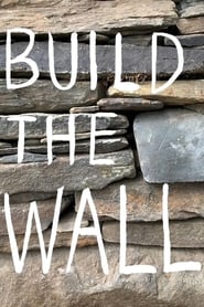 Build the Wall' Poster