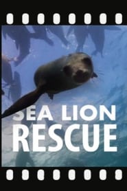 Sea Lion Rescue' Poster