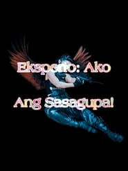 Eksperto Ako Ang Sasagupa' Poster