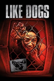 Like Dogs' Poster