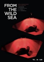 From the Wild Sea' Poster