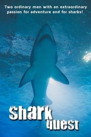 Shark Quest' Poster