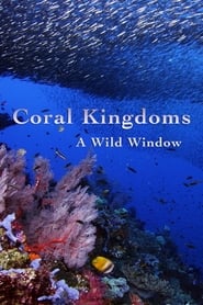 A Wild Window Coral Kingdoms' Poster