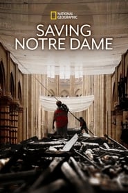 Saving NotreDame' Poster