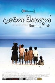 Burning Birds' Poster