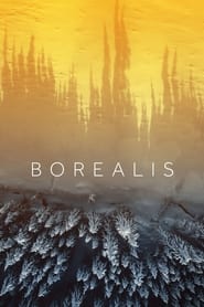 Borealis' Poster