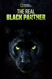 The Real Black Panther' Poster