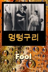 Fool' Poster