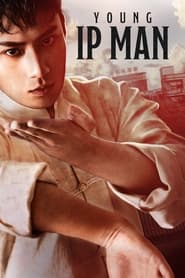 Young Ip Man Crisis Time' Poster
