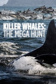 Killer Whales the Mega Hunt' Poster