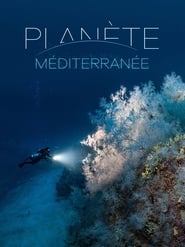 The Deep Med' Poster