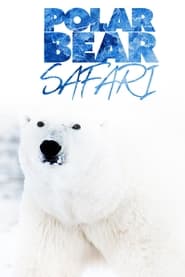 Polar Bear Safari' Poster