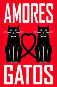 Amores Gatos' Poster