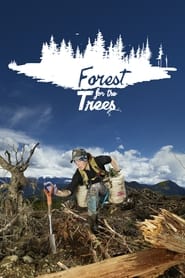 Forest for the Trees' Poster