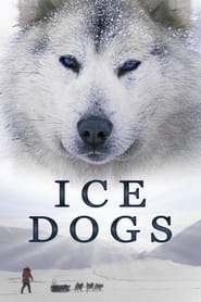 Ice Dogs The Only Companions Worth Having' Poster