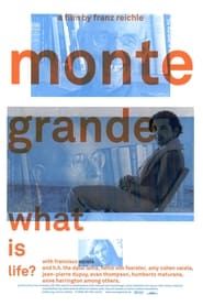 Monte Grande What is Life' Poster