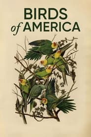 Birds of America' Poster