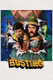 Busting' Poster