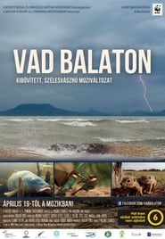 Balaton' Poster