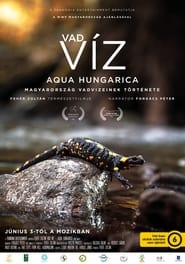 Where Rivers Run Wild Aqua Hungarica' Poster