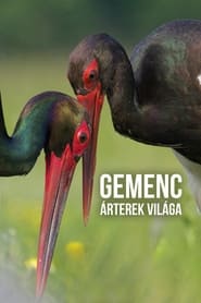 Gemenc  rterek vilga' Poster