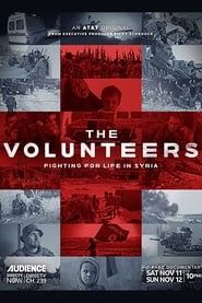 The Volunteers' Poster