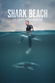Shark Beach with Chris Hemsworth' Poster