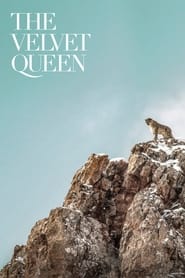 The Velvet Queen' Poster