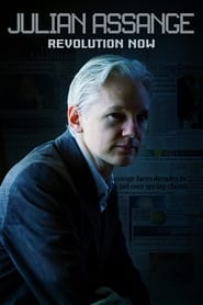 Julian Assange Revolution Now' Poster