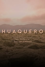 Huaquero' Poster