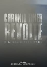 Chronicle of a Revolt One Year Istanbul' Poster