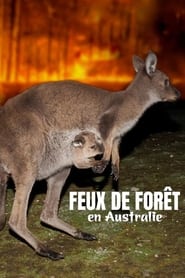 Bushfire Animal Rescue' Poster