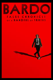 BARDO False Chronicle of a Handful of Truths' Poster